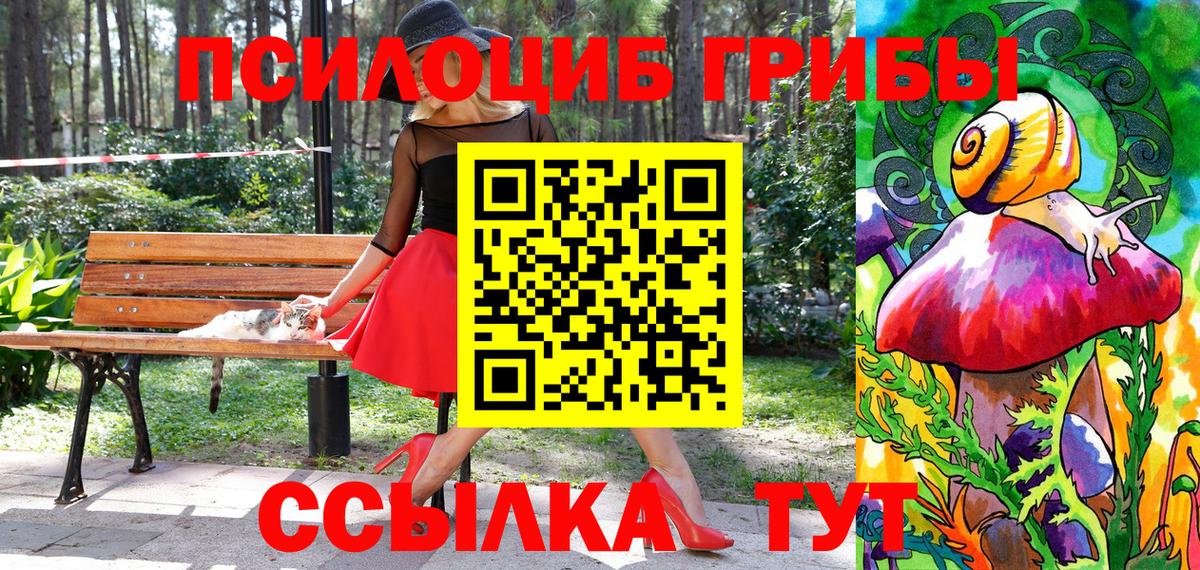 Псилоцибиновые грибы Magic Shrooms  Галлюциногенные грибы MAGIC MUSHROOMS  Клин  Вход с VPN 