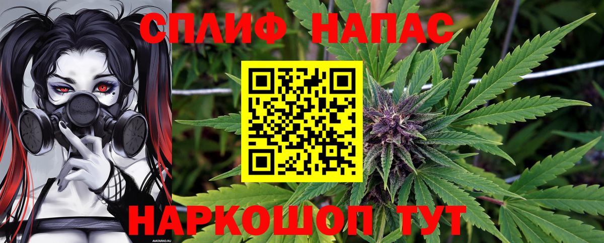 Бошки Шишки сатива  МАРИХУАНА гибрид  Шишки марихуана план  Вход с VPN  Клин 